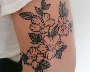 Salon de tatouage, tatoueur à Bordeaux - Shop St Michel (33).