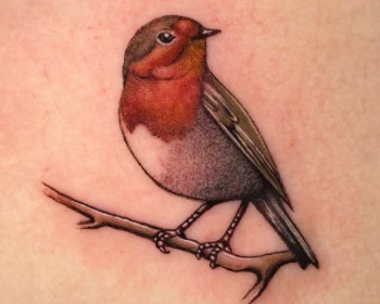Tatoueur Bordeaux Saint-Michel Le Perce Muraille.